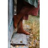 52 chaussettes à tricoter toute l'année